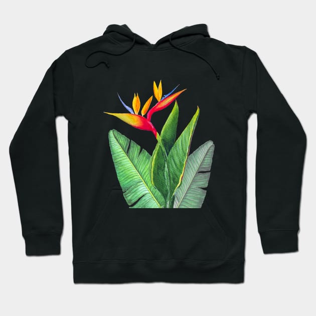 Tropical strelitzia Bird of Paradise flower  watercolor illustration Hoodie by Wolshebnaja